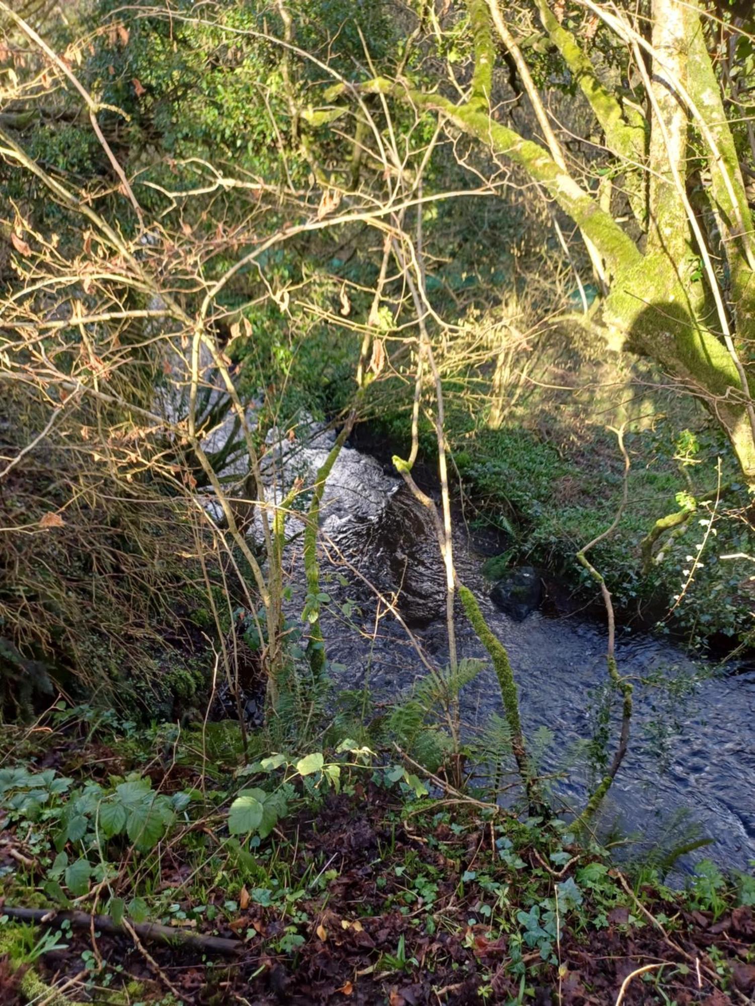 Little River Glamping Ballymoney Bagian luar foto
